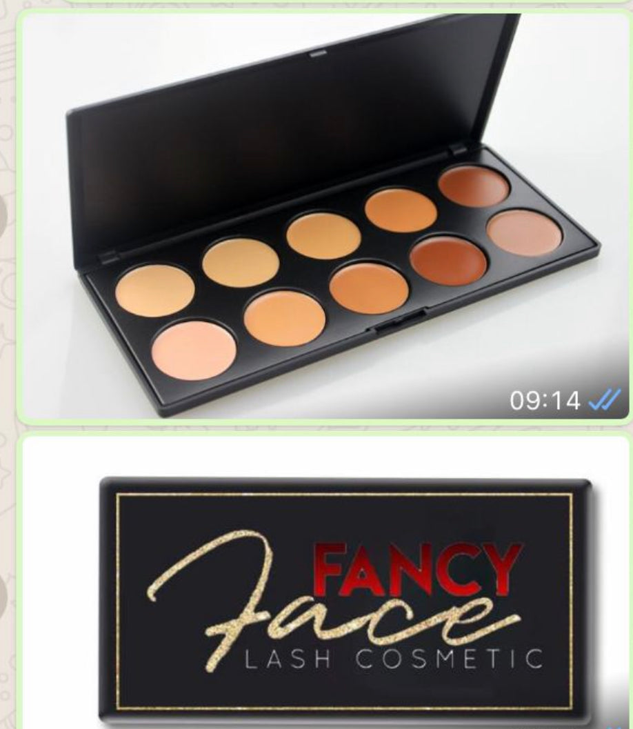 Fancy Concealer palette